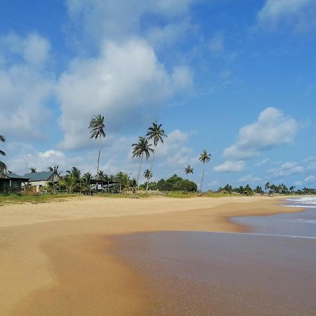 Afro Beach Eco Resort Butre Exteriör bild
