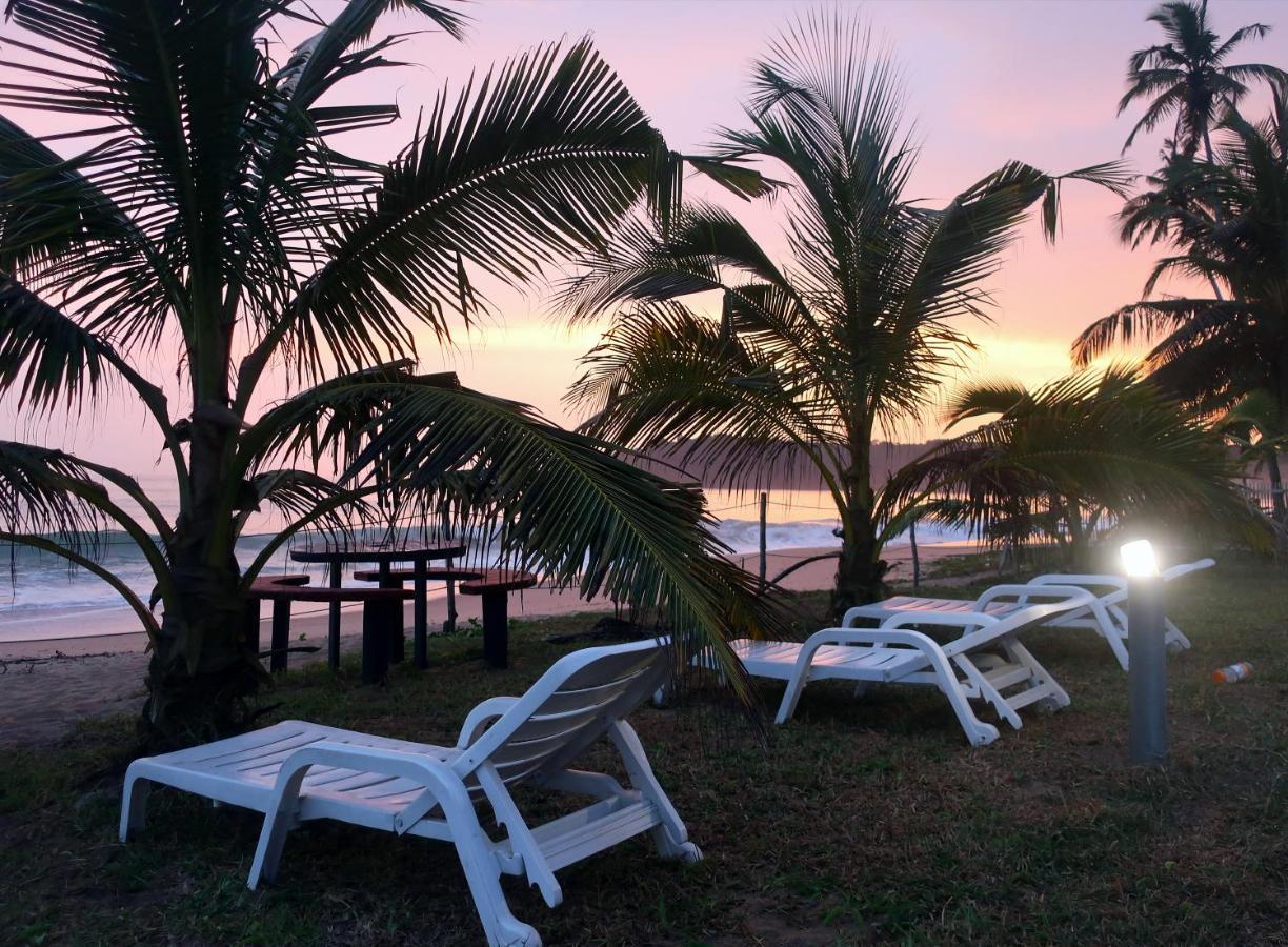 Afro Beach Eco Resort Butre Exteriör bild