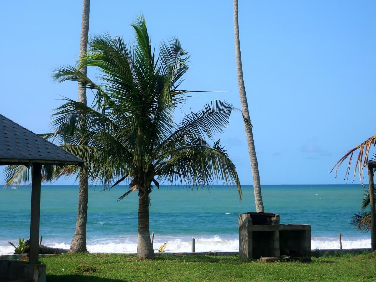 Afro Beach Eco Resort Butre Exteriör bild
