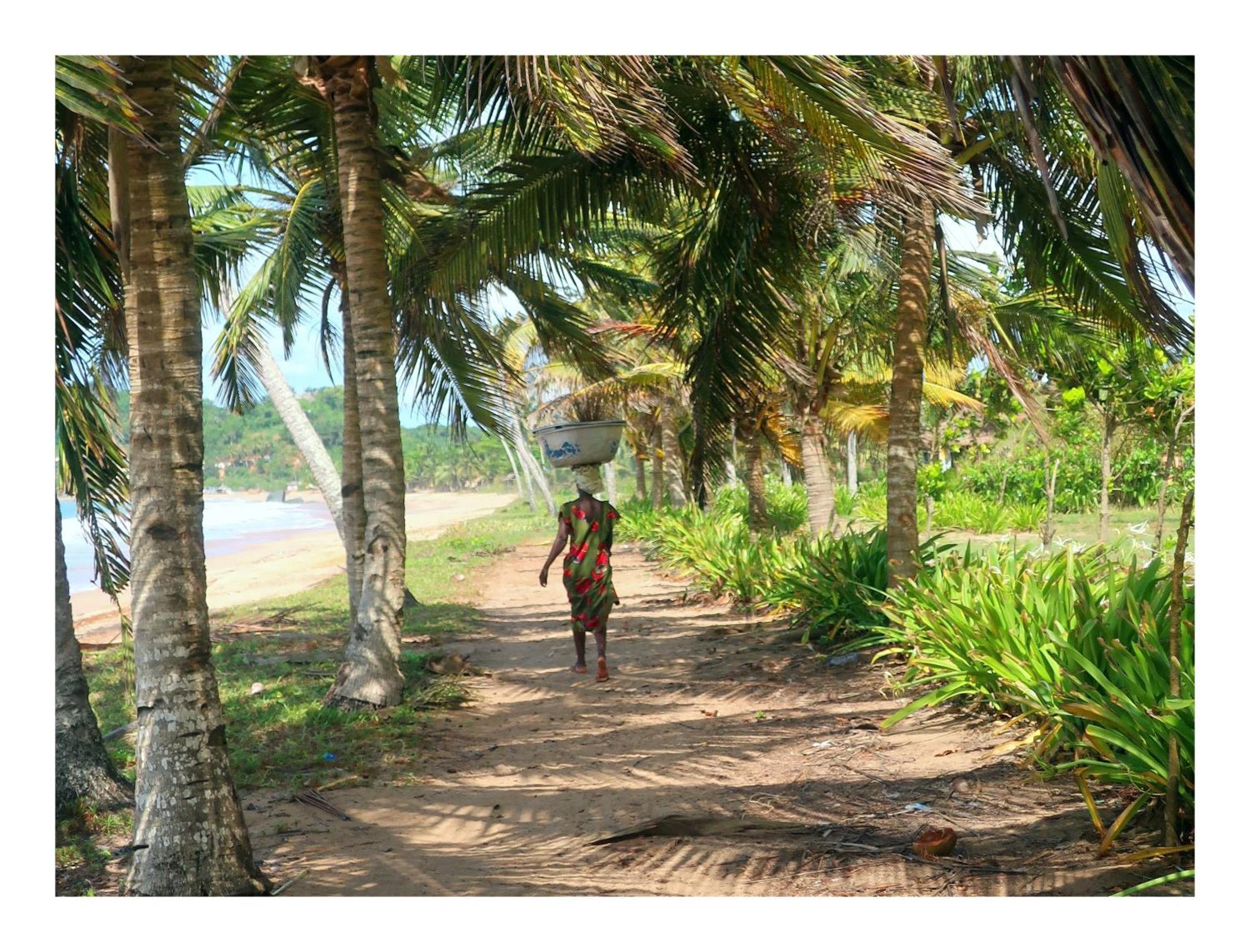 Afro Beach Eco Resort Butre Exteriör bild
