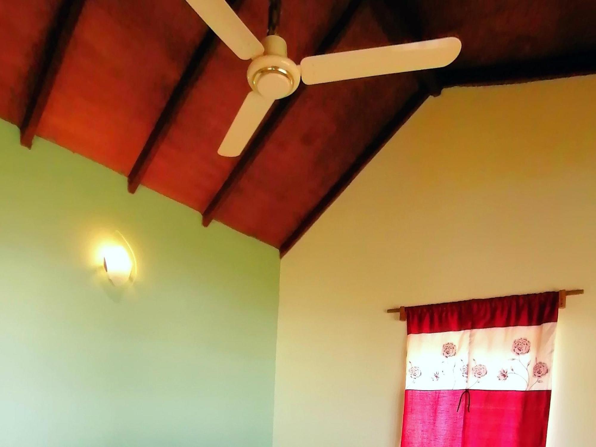 Afro Beach Eco Resort Butre Rum bild