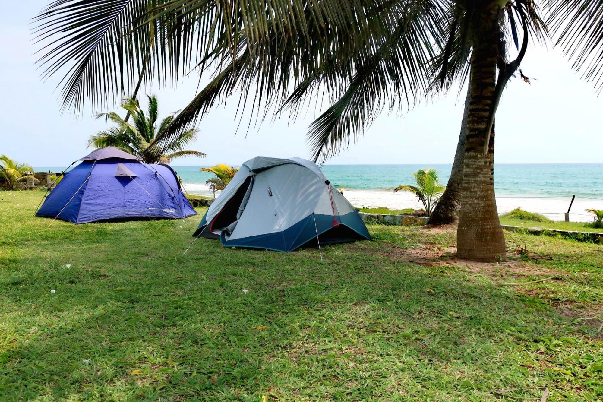 Afro Beach Eco Resort Butre Exteriör bild