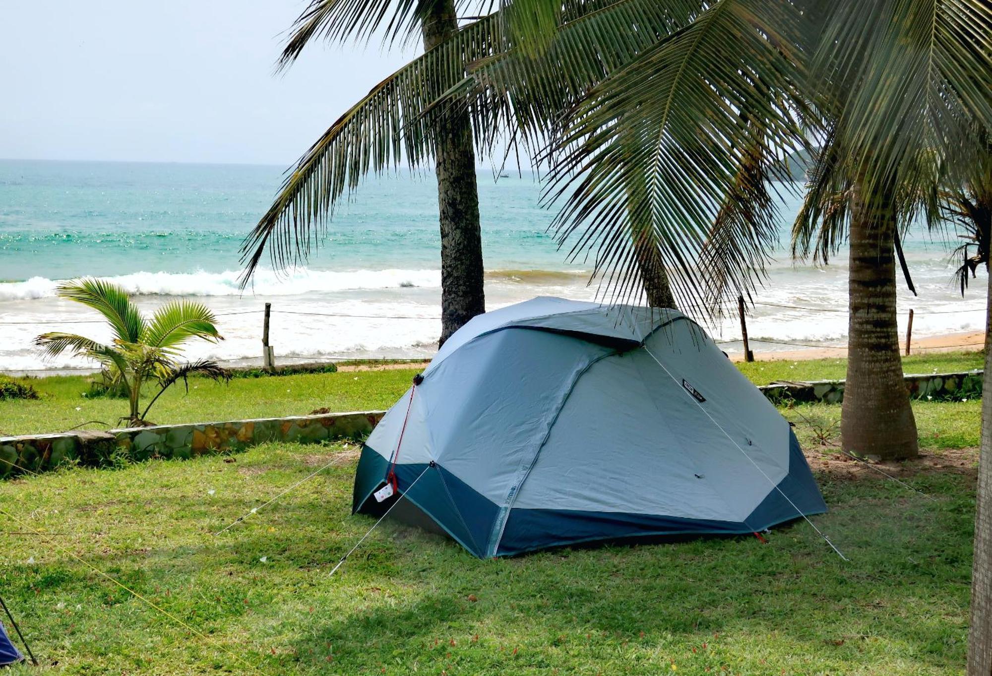 Afro Beach Eco Resort Butre Rum bild