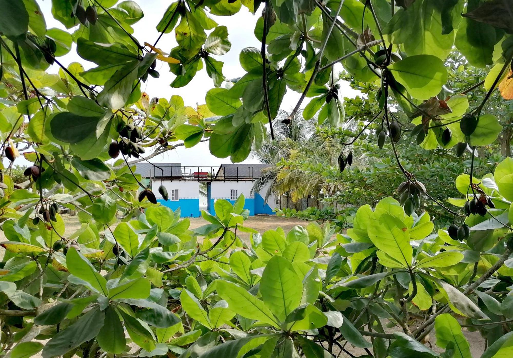 Afro Beach Eco Resort Butre Rum bild