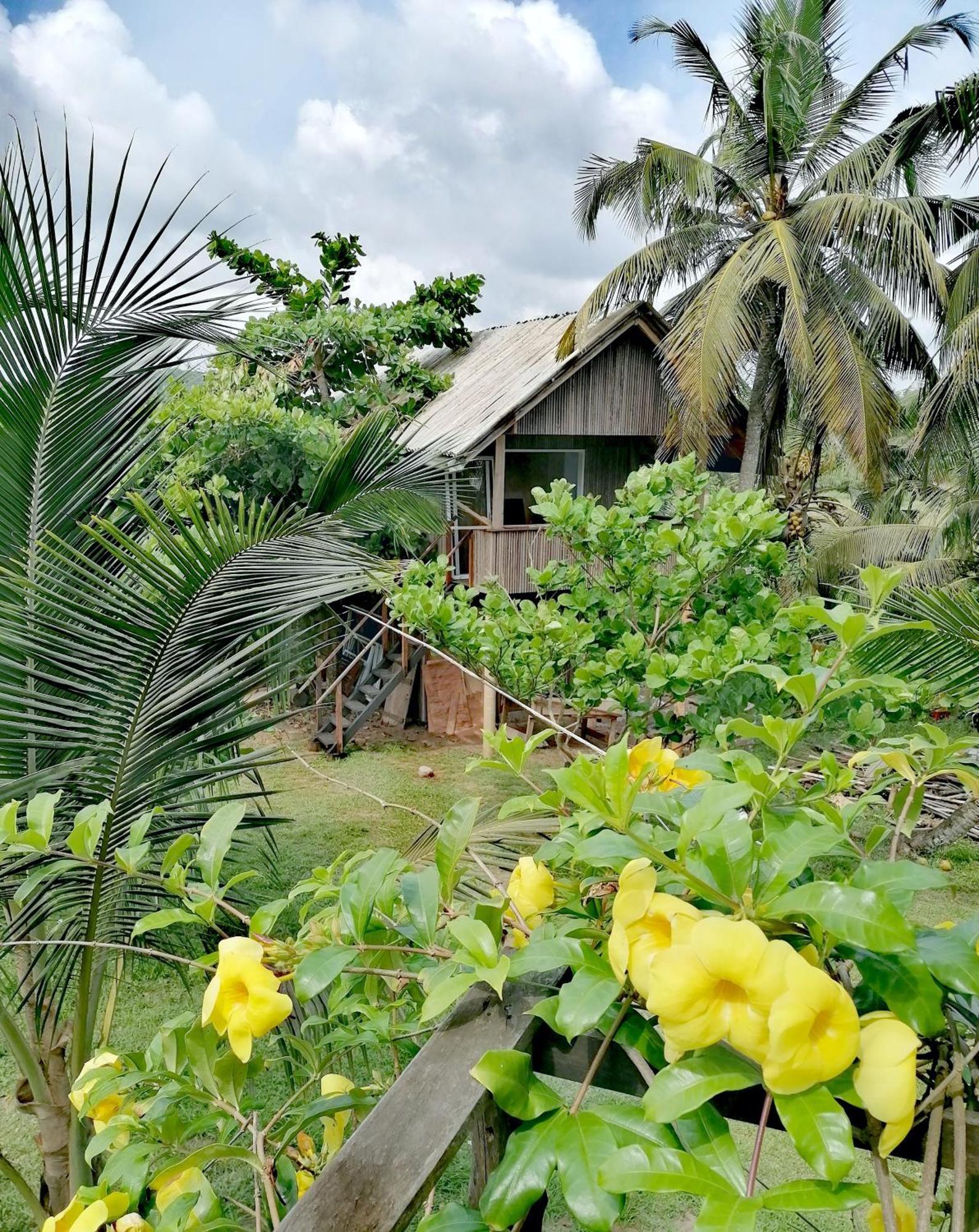 Afro Beach Eco Resort Butre Rum bild