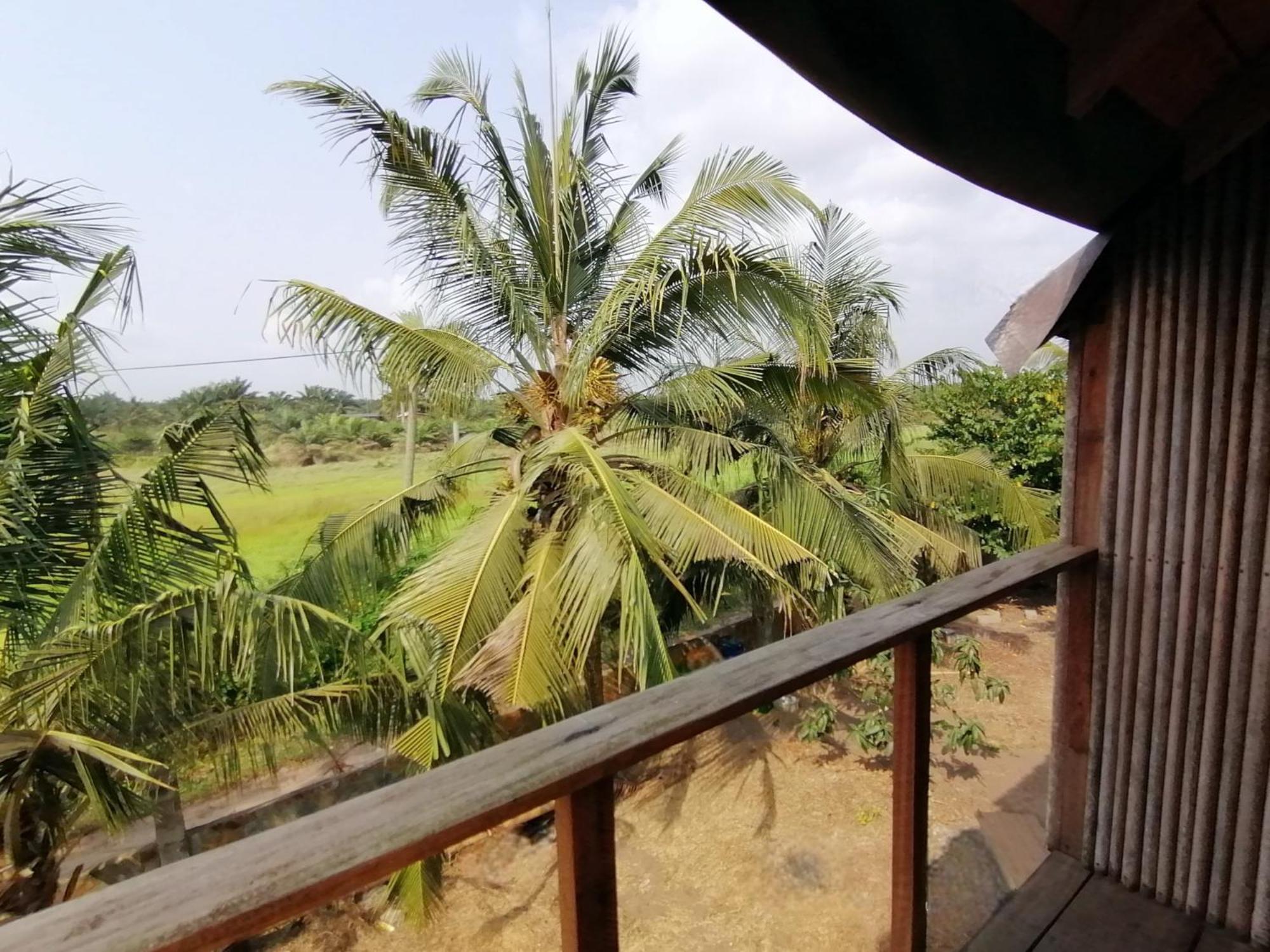 Afro Beach Eco Resort Butre Rum bild