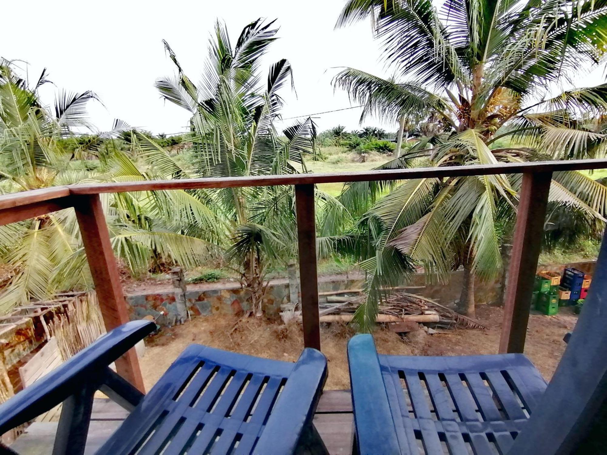 Afro Beach Eco Resort Butre Rum bild